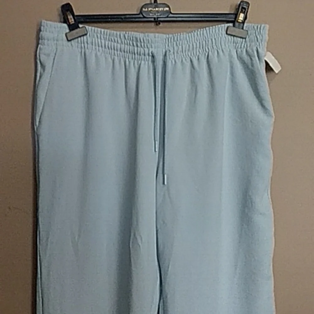 Wilfred Powder Blue pants size xl - Picture 2 of 4